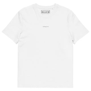 IMAGINE V2